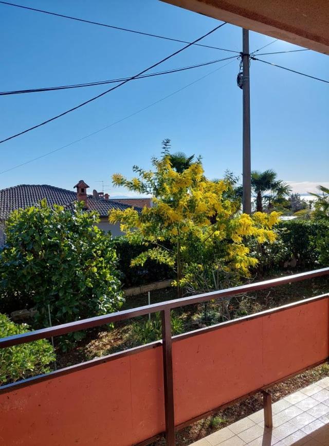 Rubin Apartman Ika Kültér fotó